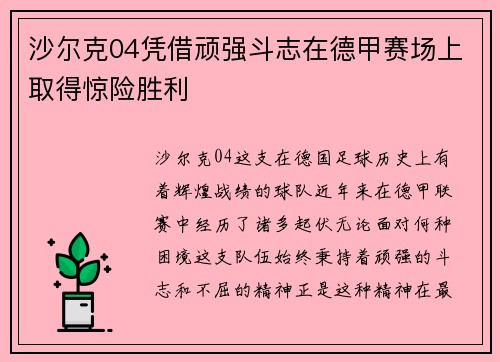 沙尔克04凭借顽强斗志在德甲赛场上取得惊险胜利
